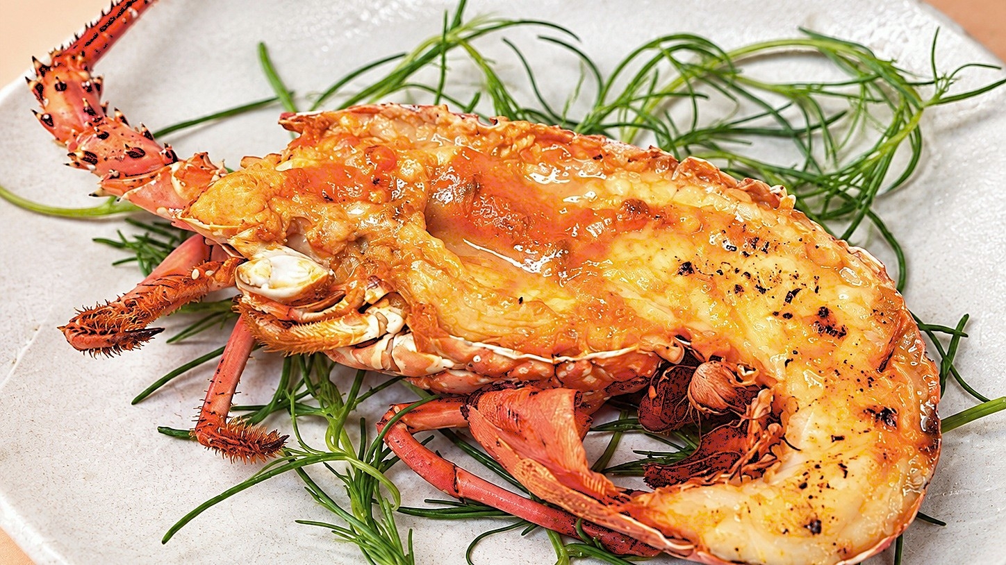 【限定26食】驚きの大きさ！豪快にかぶりつく伊勢海老半身付｜刺身などの房総海の幸をお部屋食で愉しむ
