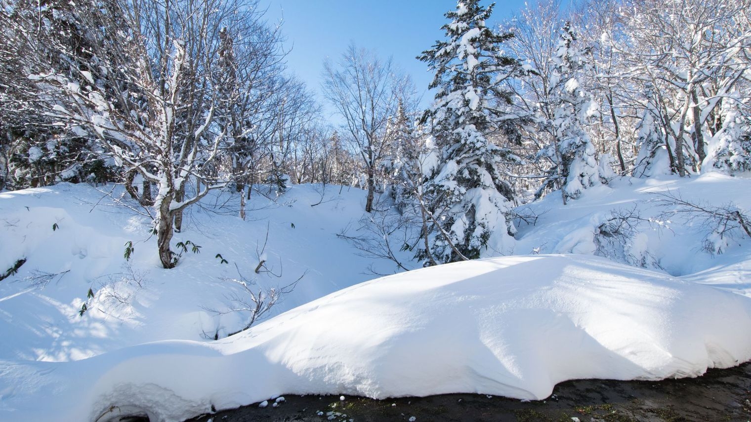 【送迎なし・直前割】【２食付】キャンセル不可《事前決済のみ》25％OFF！7日前から予約OK！