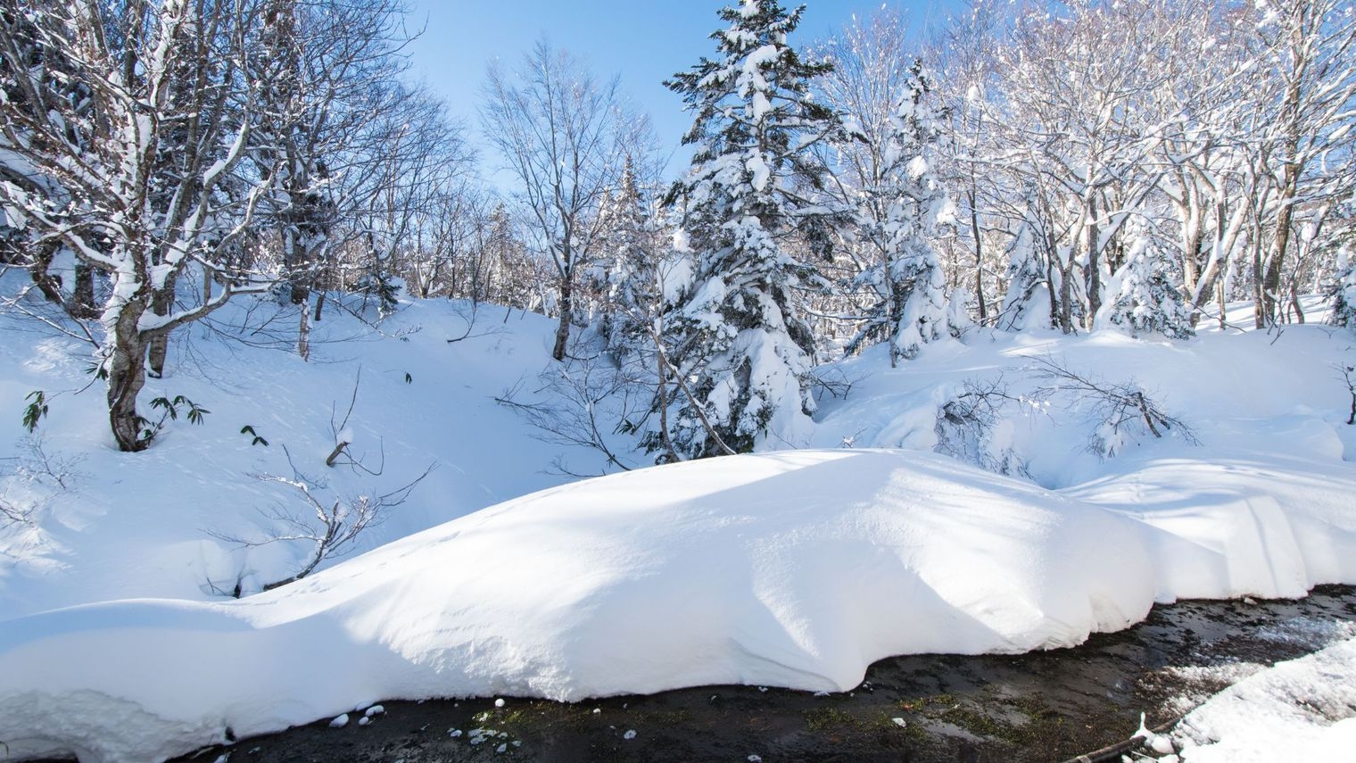 【２食付】〜森と温泉とお食事と〜日本三秘湯「谷地温泉」スタンダードプラン