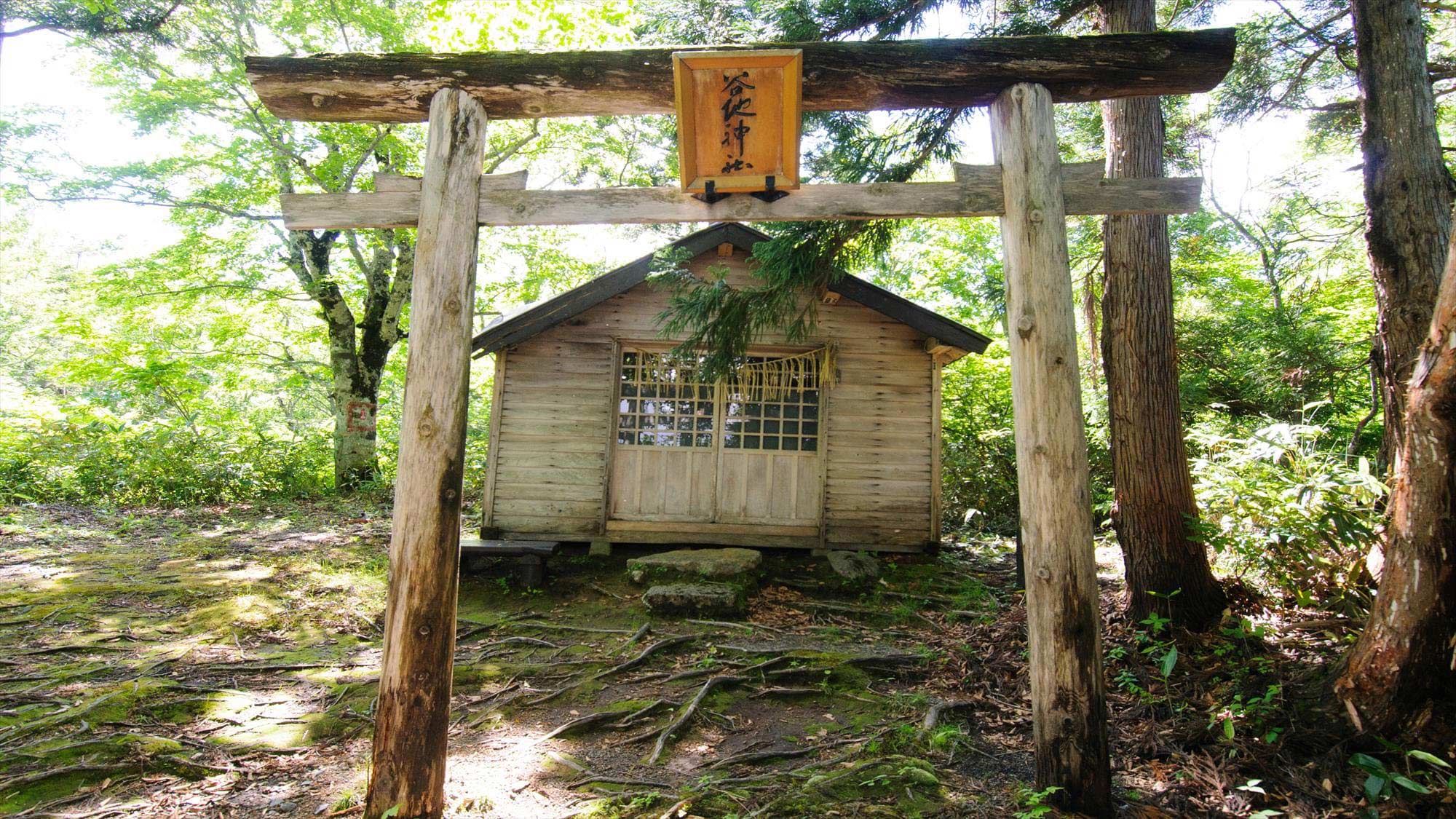  【谷地神社】