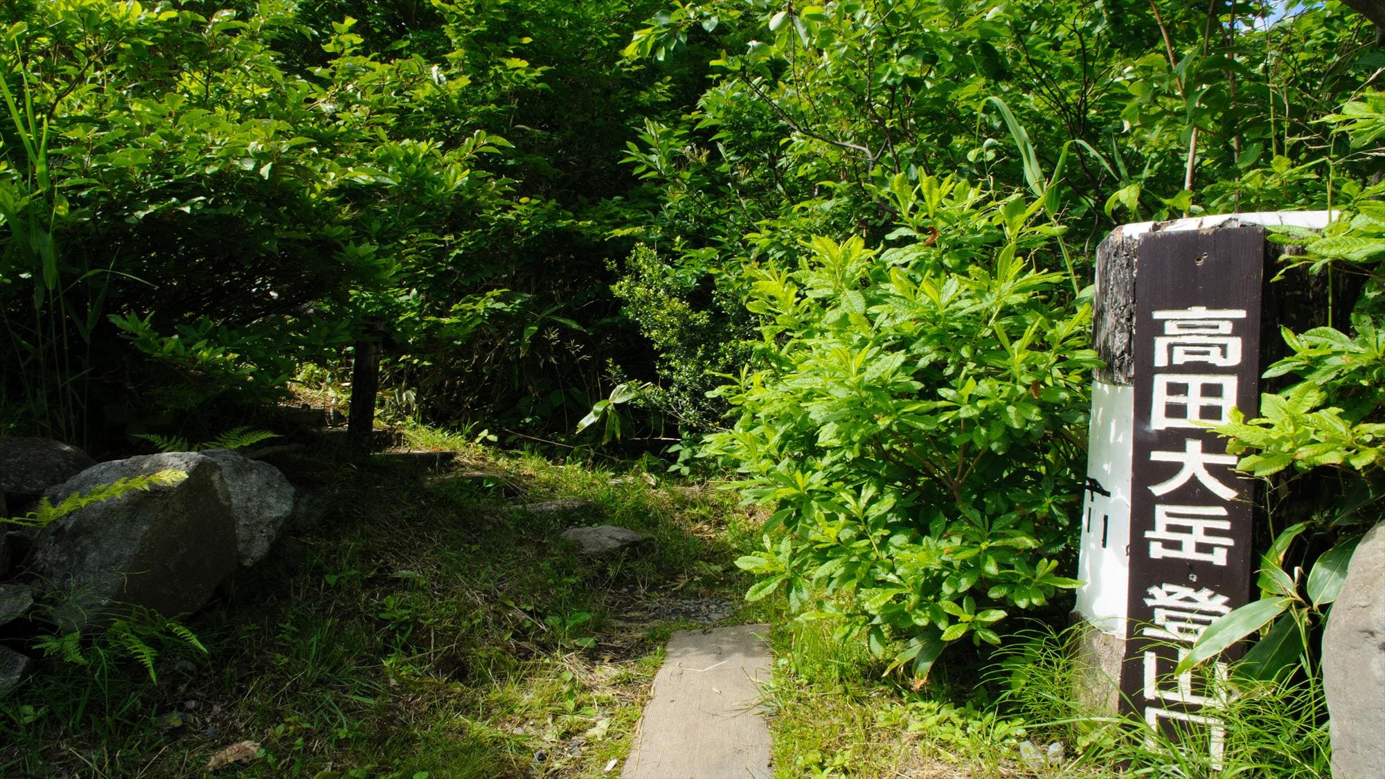 【高田大岳登山口】