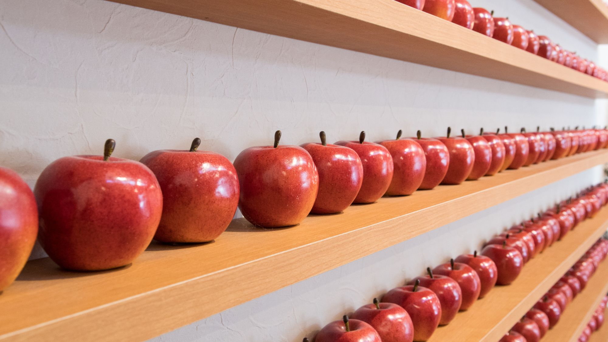 【周辺観光/奥入瀬ろまんパーク】