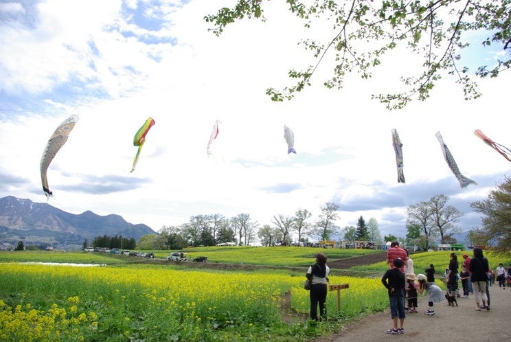 《飯山》『いいやま菜の花まつり』風景写真④