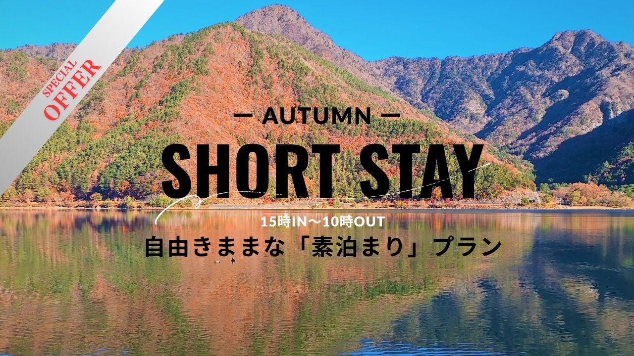 SHORT STAY