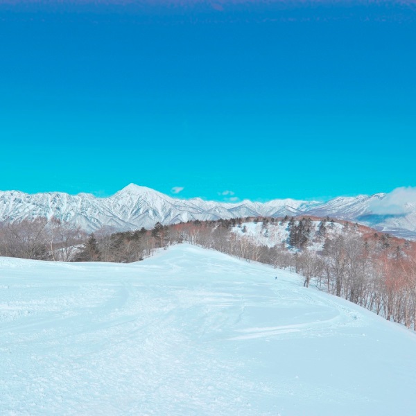 写真7