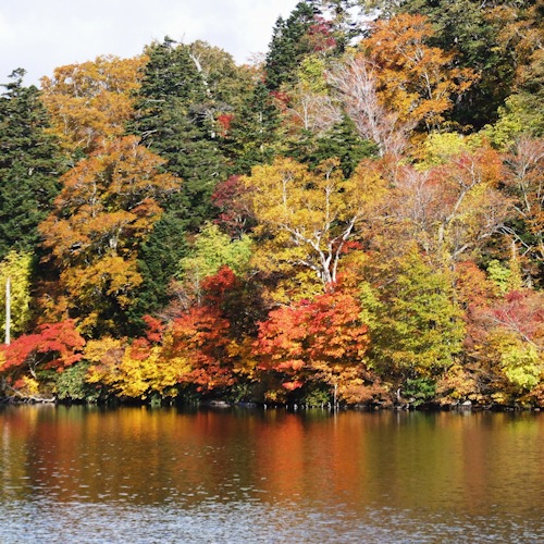 長沼（2015年10月上旬の紅葉）