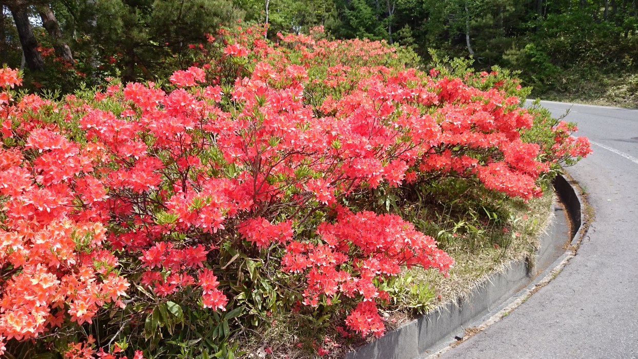 写真2