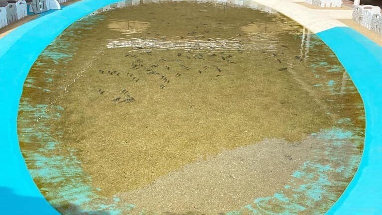 ひらめきパーク笠戸島