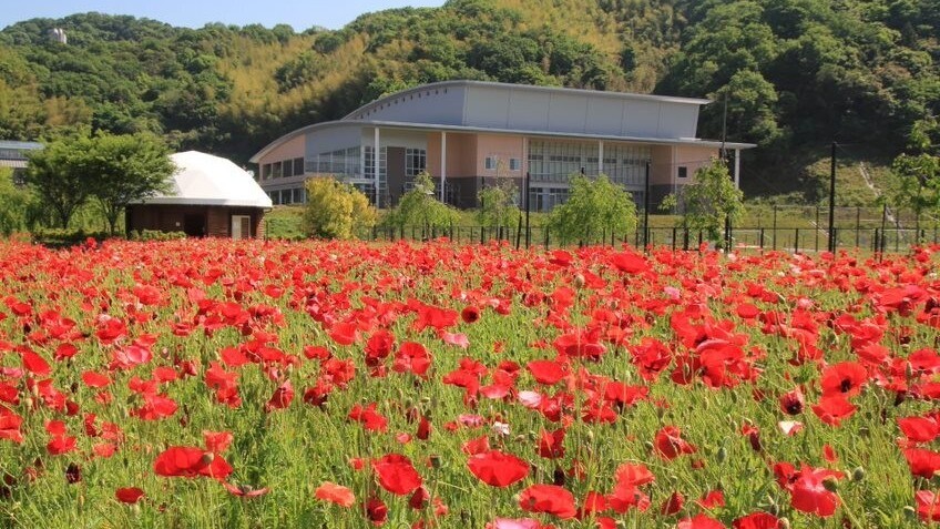 冒険の森　下松スポーツ公園
