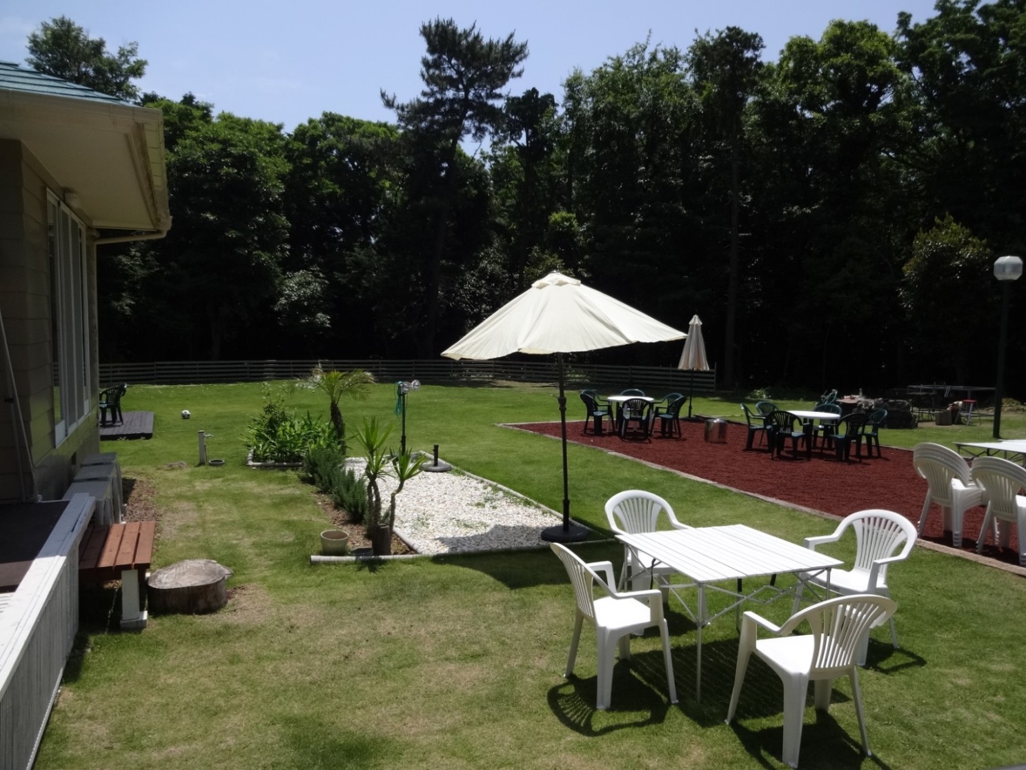 夏のお庭