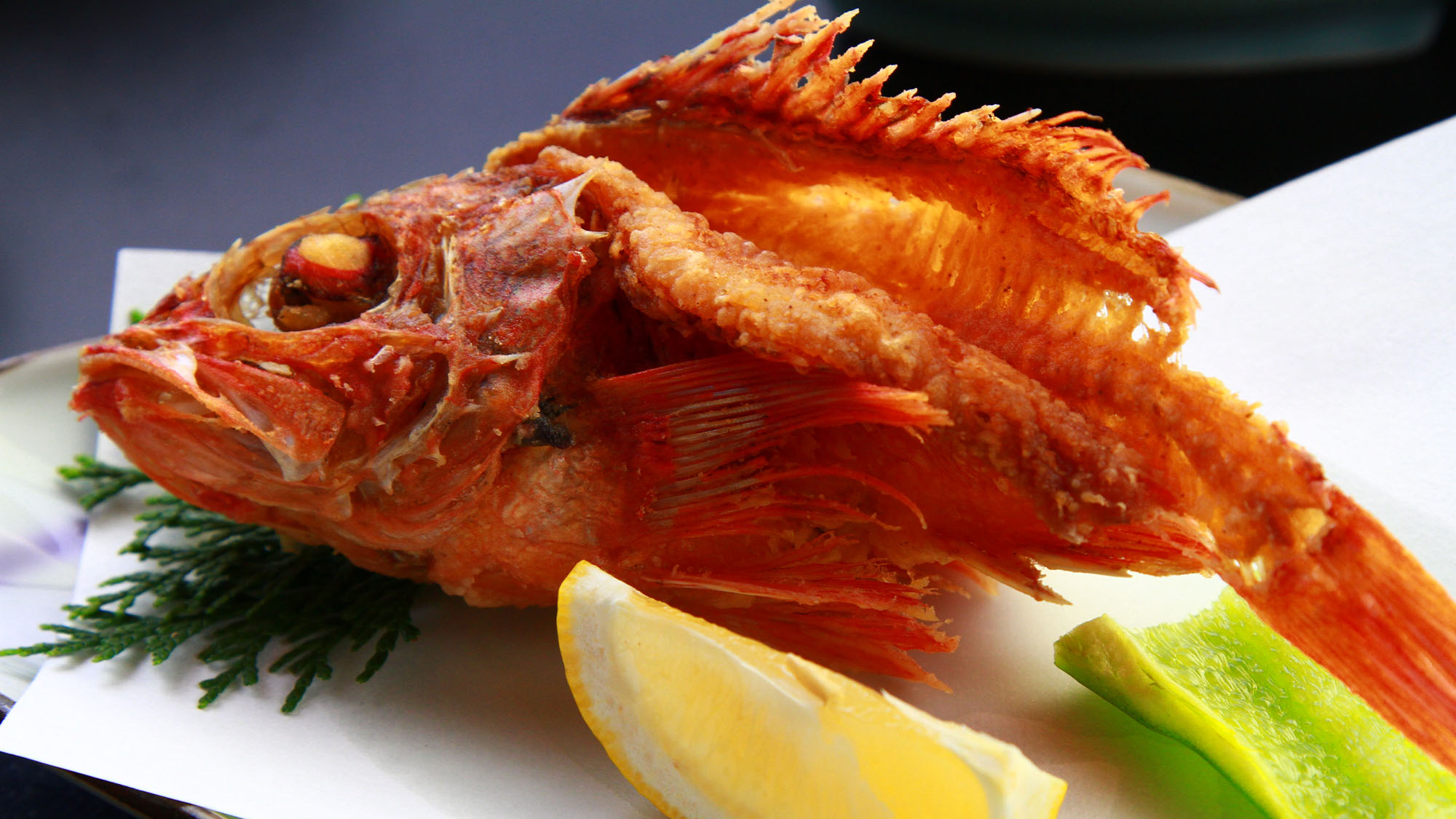 【夕食一例】新鮮な獲れたての魚介を楽しめる!天草ならではのお料理をご用意します！