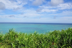 青空と海