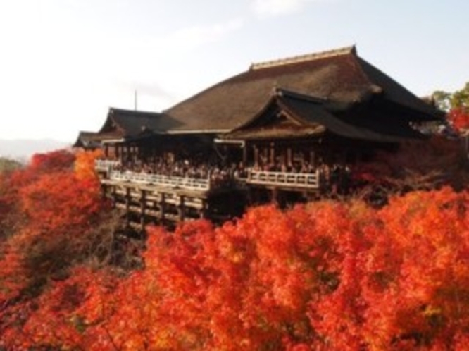 清水寺へ徒歩圏内