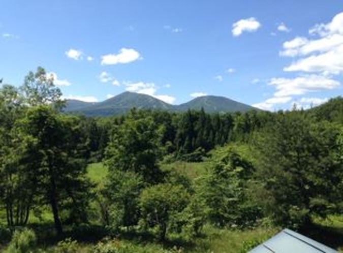 客室からの景色