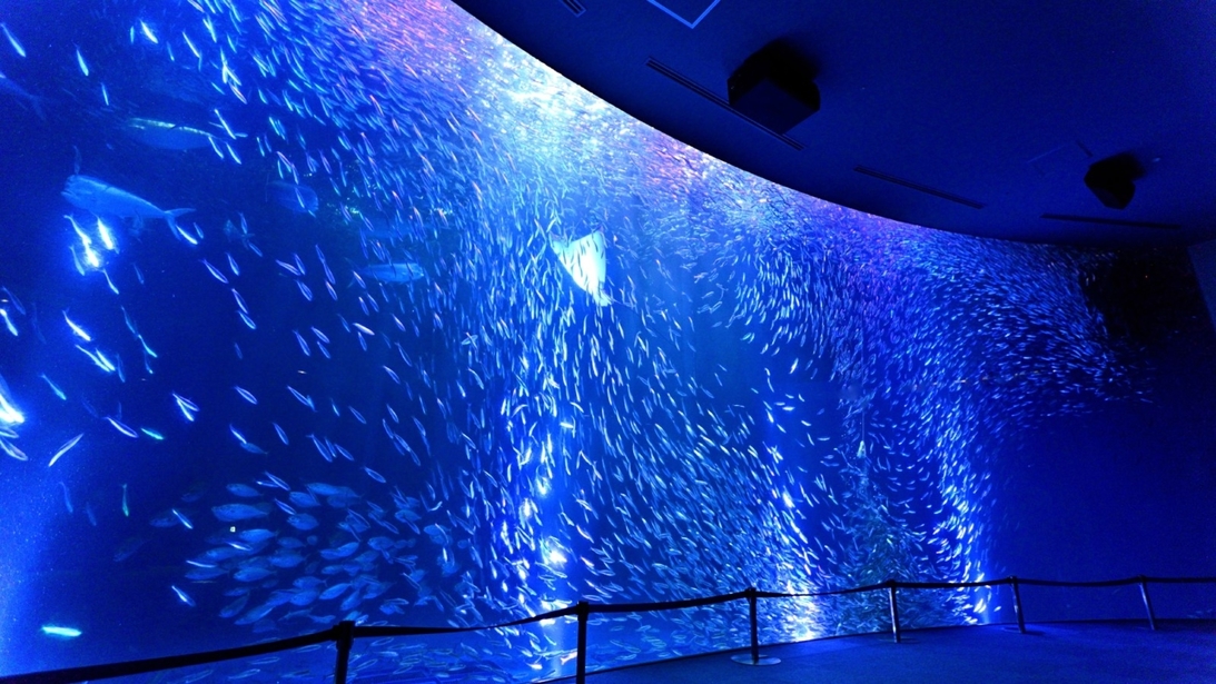 【名古屋港水族館】嬉しい割引チケット付★お得に海の仲間に会いにいこう！