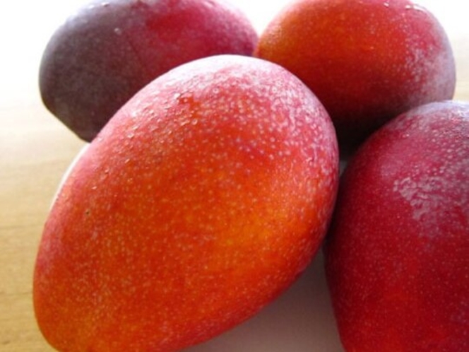 沖縄の果実　マンゴー