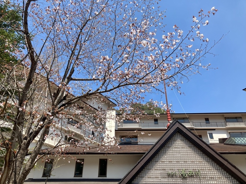 ☆遅咲きの桜を楽しもう！　１泊２食付きバイキングプラン