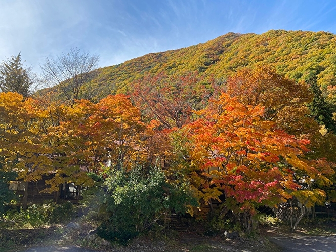 ホテル湯西川敷地内の紅葉