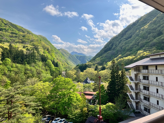 初夏の風景