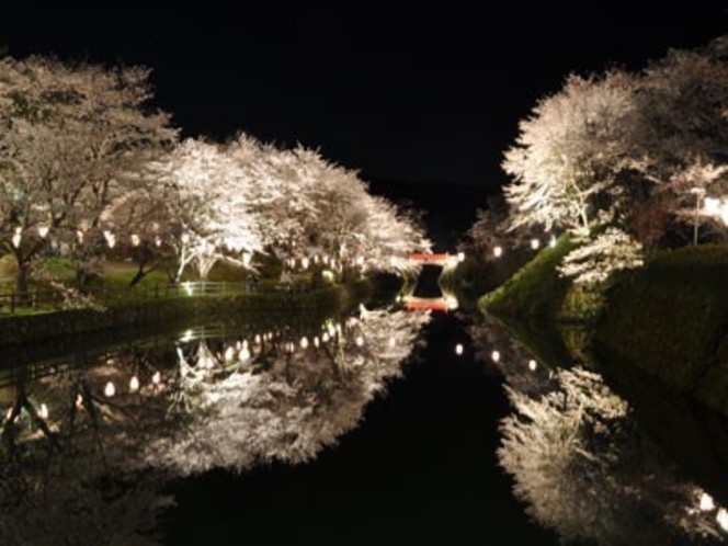 鹿野城跡　桜まつり（春）