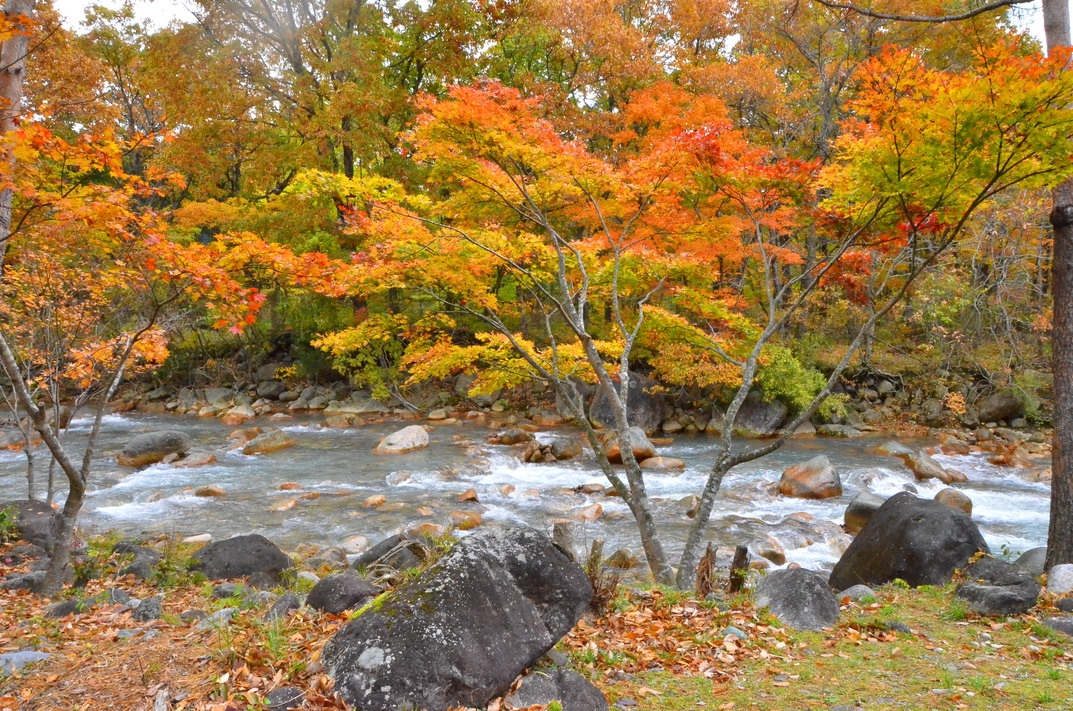 本格フレンチフルコースと天然温泉を楽しむ【現金特価】１泊２食付きレギュラープラン