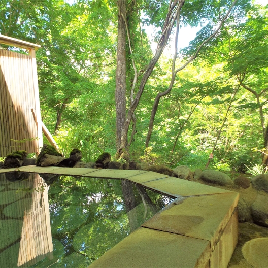 ☆ディナーも食べたいけど、フルコースは重い人におすすめ！　フレンチハーフコースプラン♪