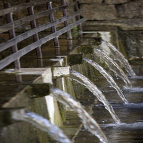 【周辺情報】金武大川　県下有数の湧泉で長寿の泉と呼ばれます　【車で約12分】　