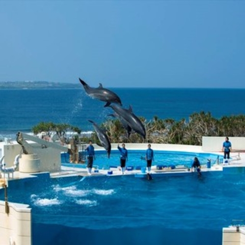 沖縄海洋博記念公園「イルカショー」