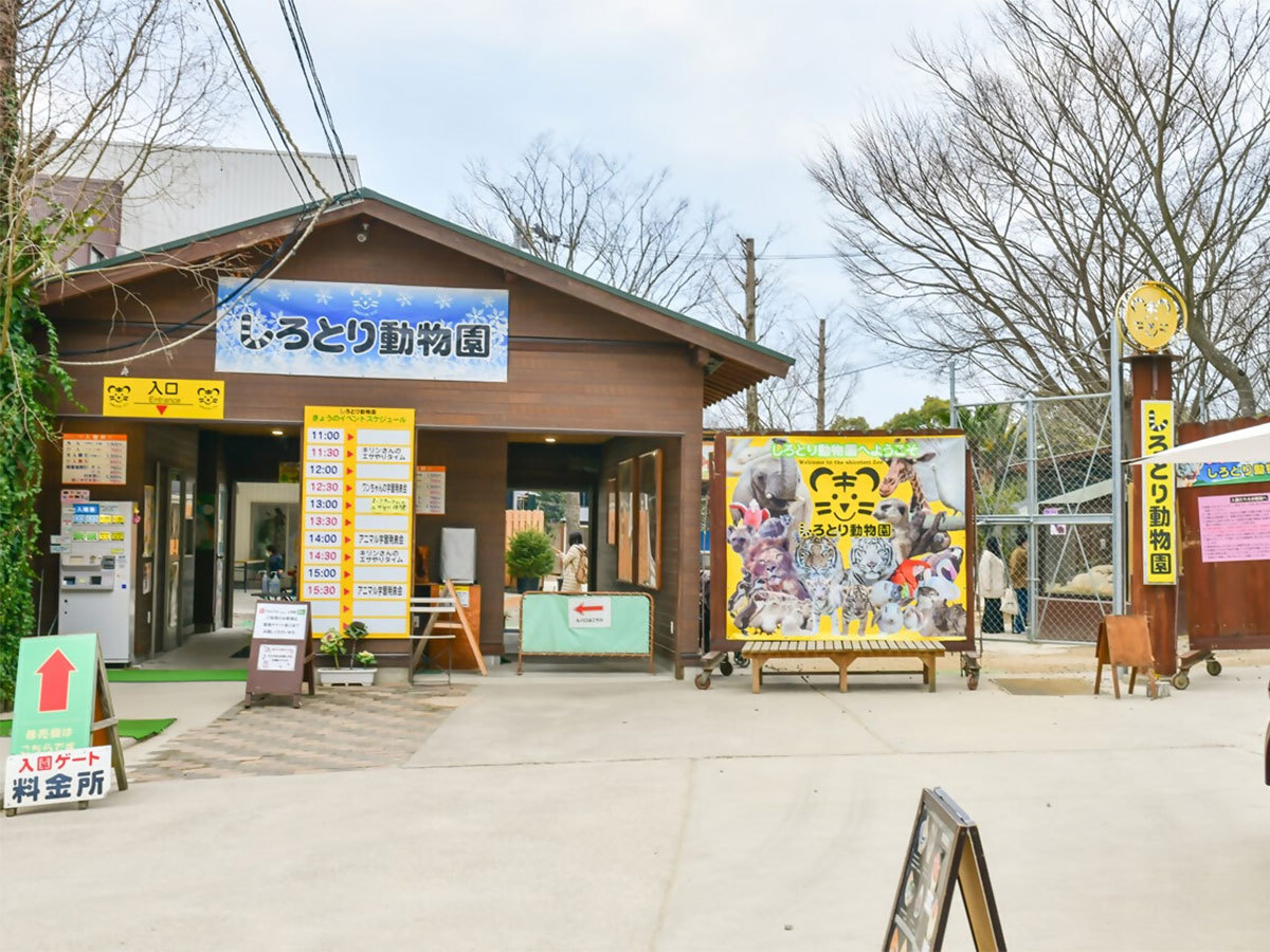 【自由過ぎる！？】わくわく体験！しろとり動物園チケット付き★バイキングプラン