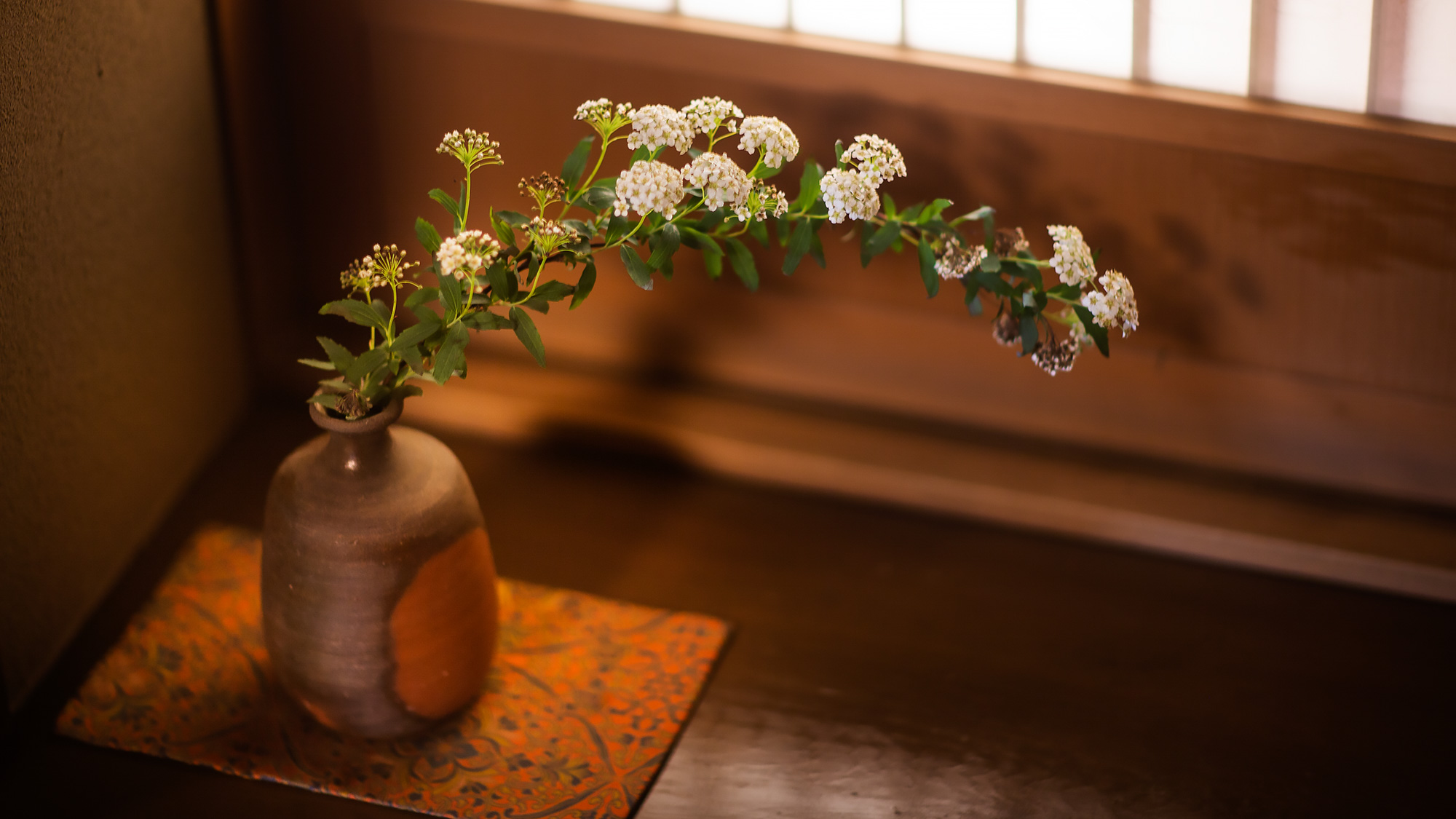 【館内イメージ】