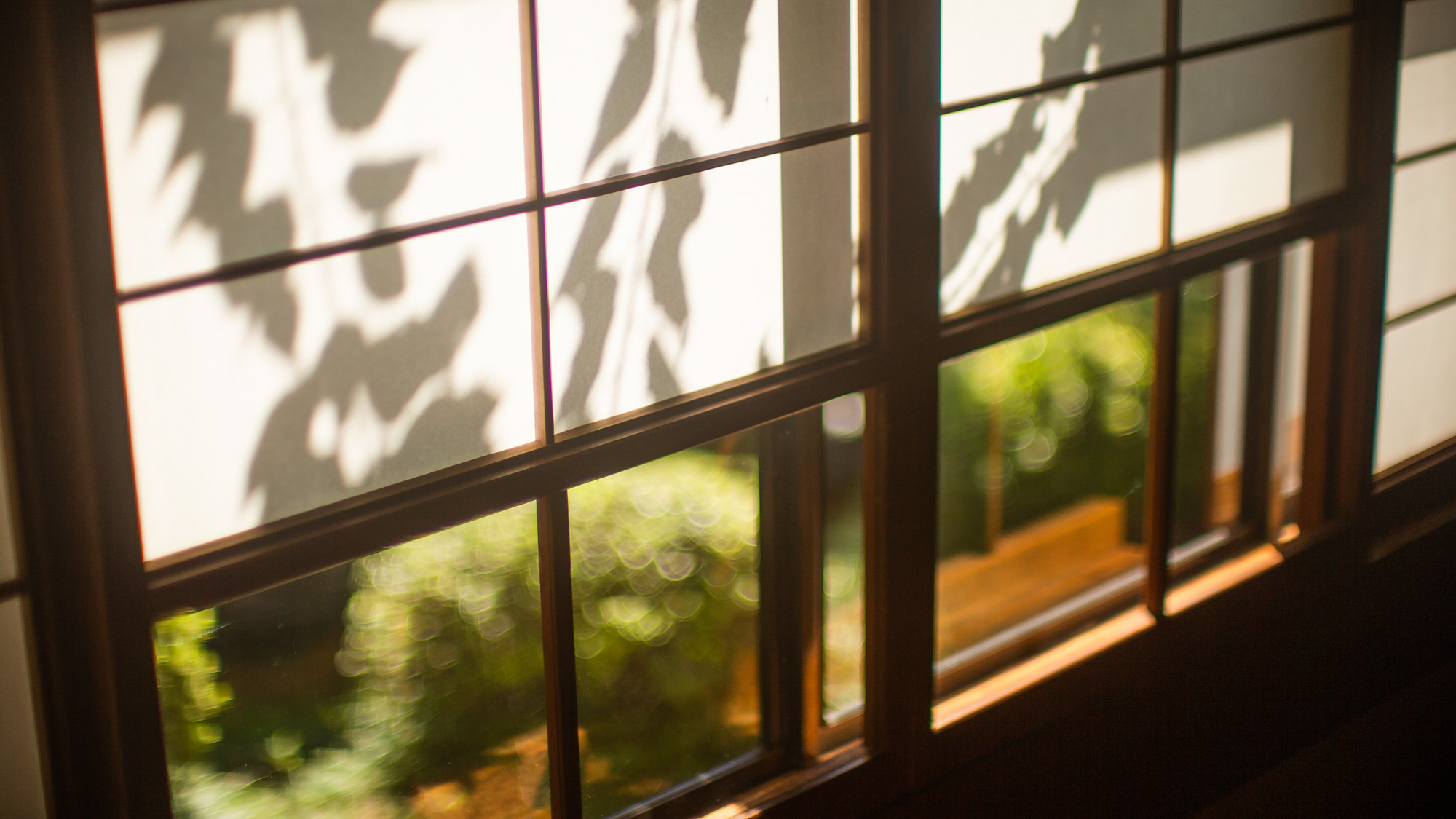 【館内イメージ】