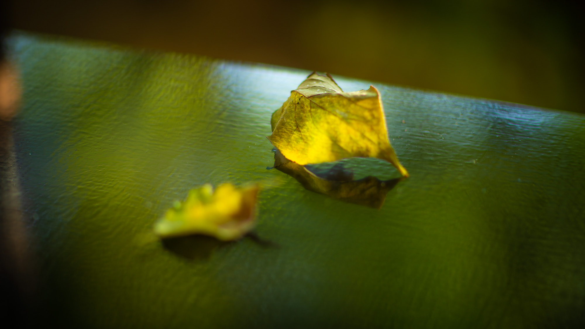 【館内イメージ】