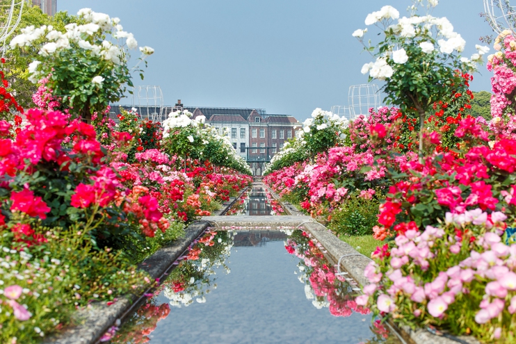 【目の前で打ちあがる迫力の花火を満喫】キングスウィーク花火特別観覧席付きプラン（朝食付き）