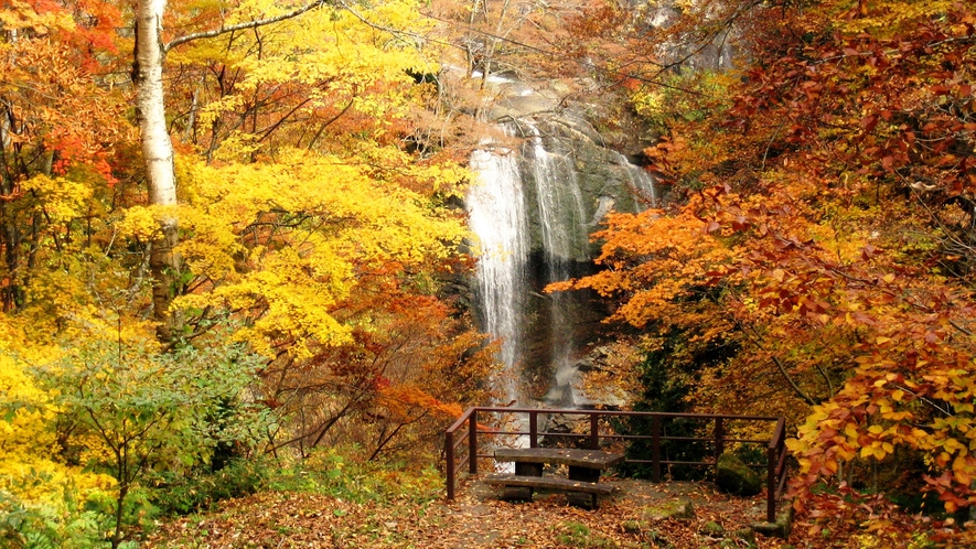 【湯の又大滝】（お車で約1時間）「落差40m」の大滝。特に周囲の木々が色づく「紅葉シーズン」が絶好の