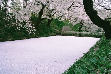 弘前パークホテル - 写真 107