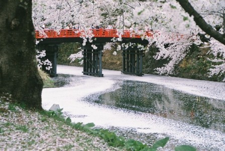 弘前パークホテル - 写真 106