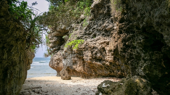 【2連泊】｜海・森・星を独り占め｜時の流れるまま自分時間を愉しむ、唯一無二のひととき＜素泊り＞