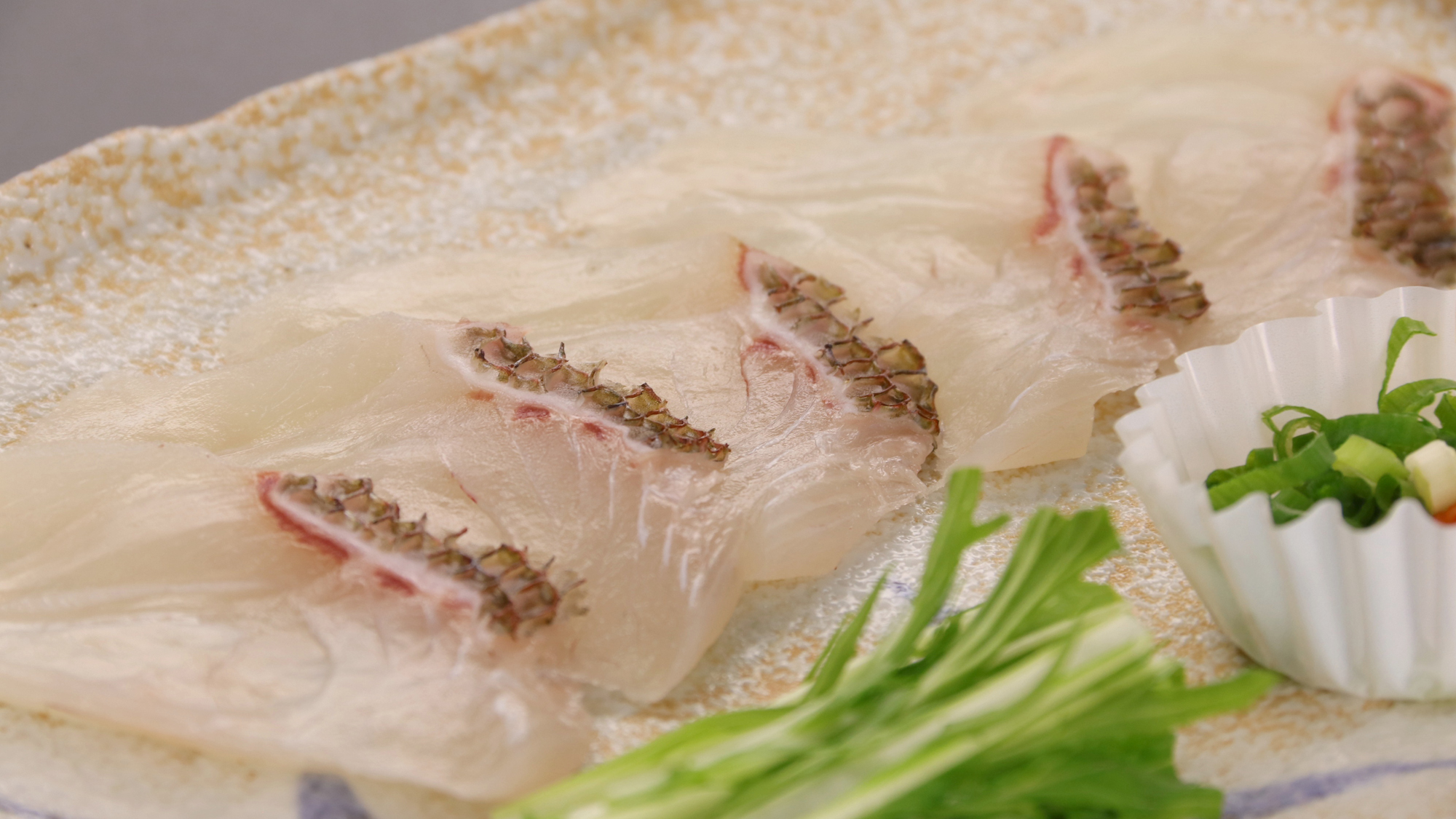 【春料理】天然鯛プラン_鯛のお刺身