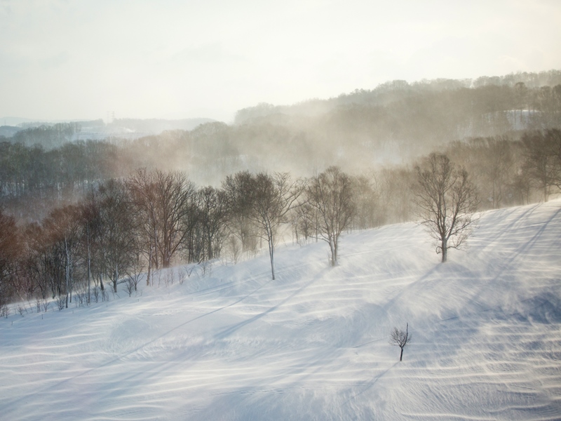 風景　風に舞う雪のある風景