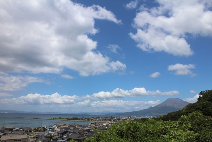 【桜島】天気の良い日は錦江湾も輝いていますよ。