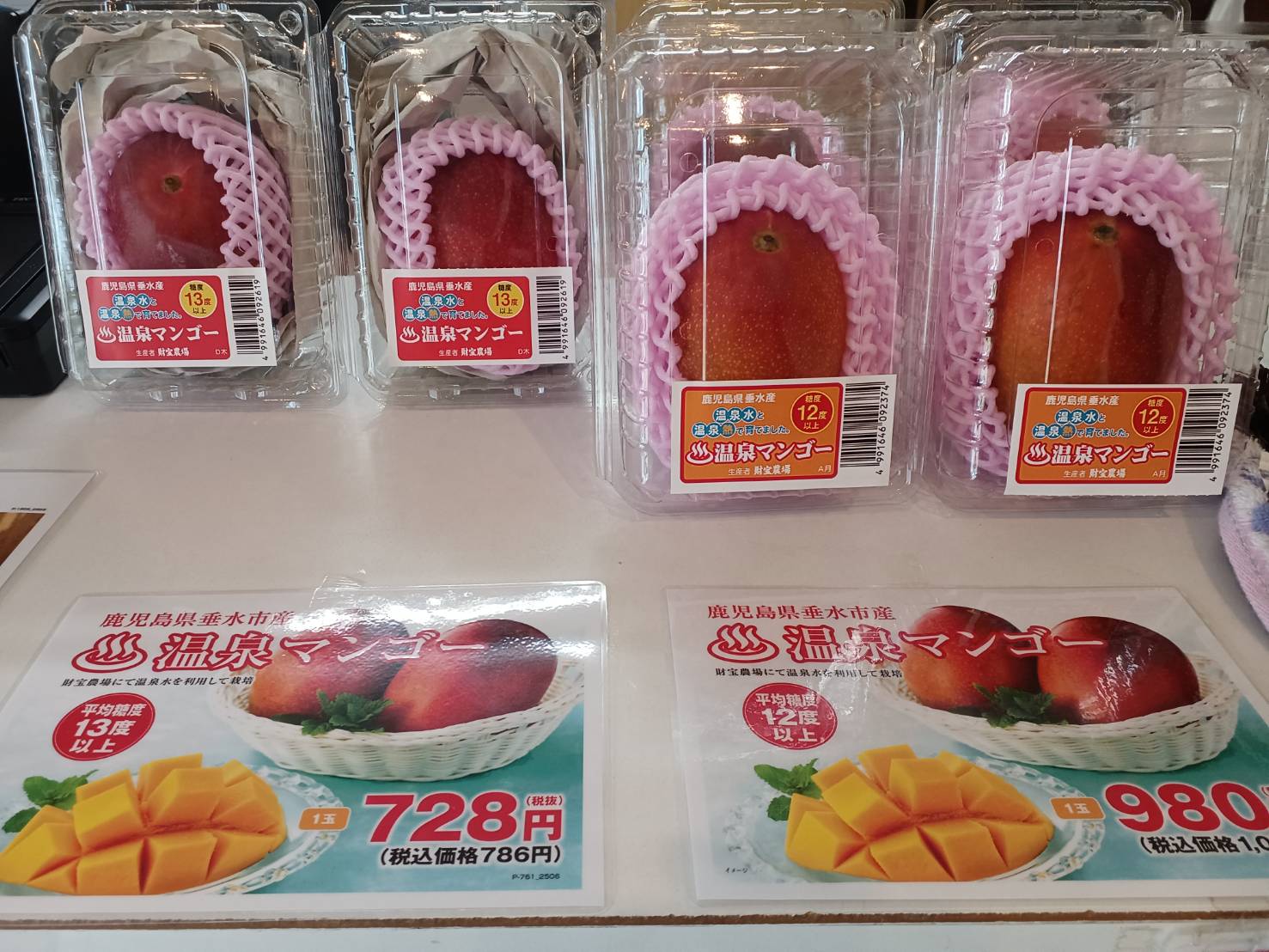 マンゴー販売