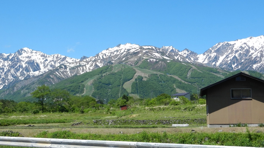  春の風景