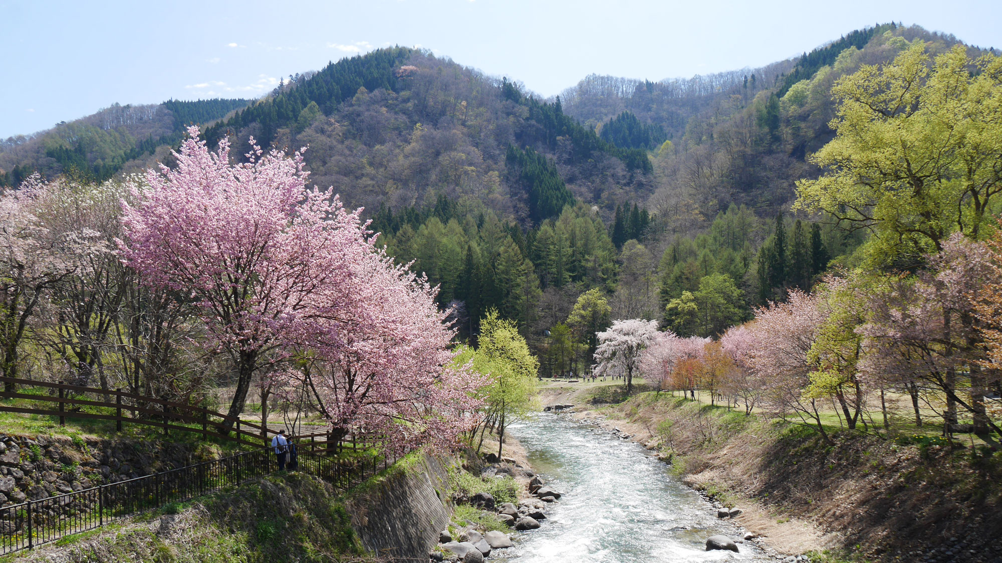  春の風景　大出公園