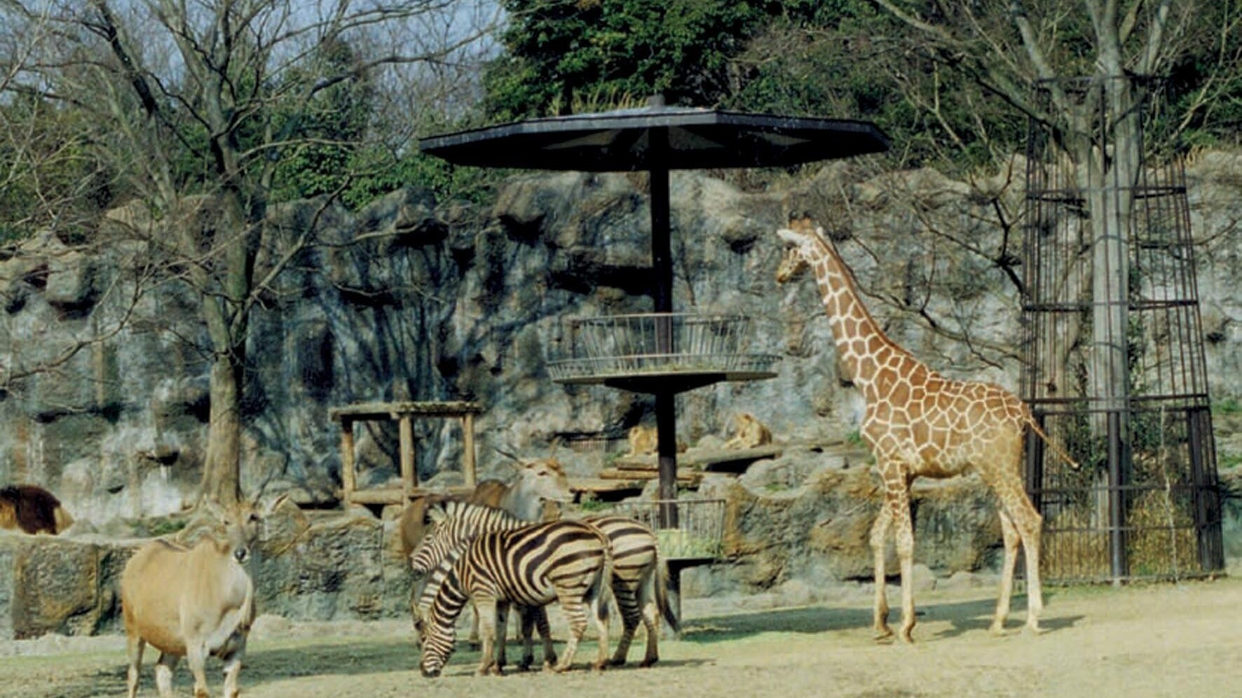 愛媛県立とべ動物園