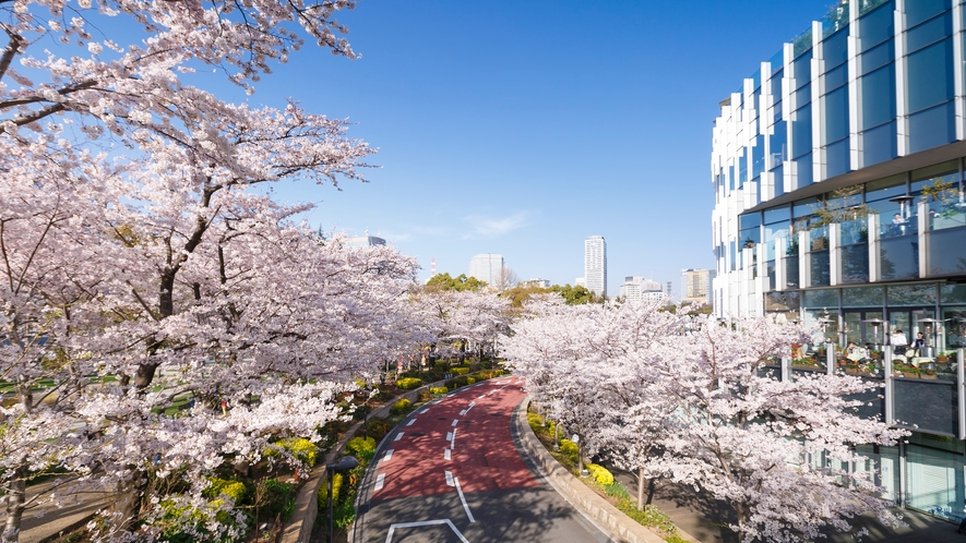 東京ミッドタウン周辺