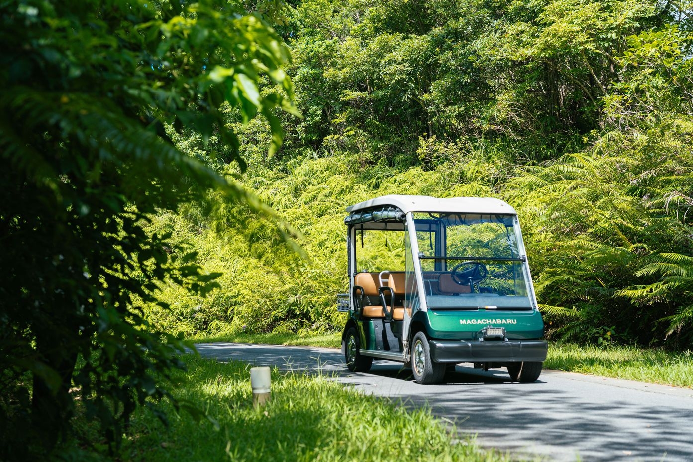 亜熱帯の森に佇むプライベートリゾート／全室プライベートプール付【スタンダード】（素泊）202602