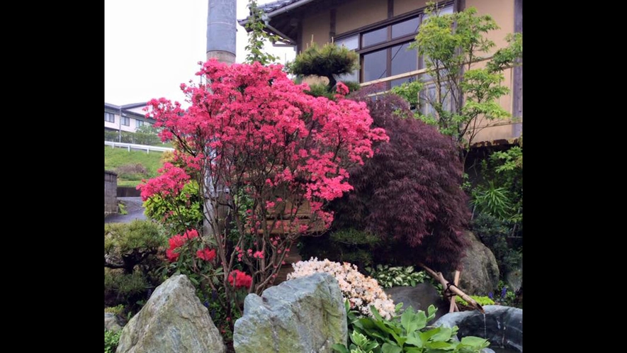 *中庭／季節ごとの草木、花々がお客様をお迎えしています。