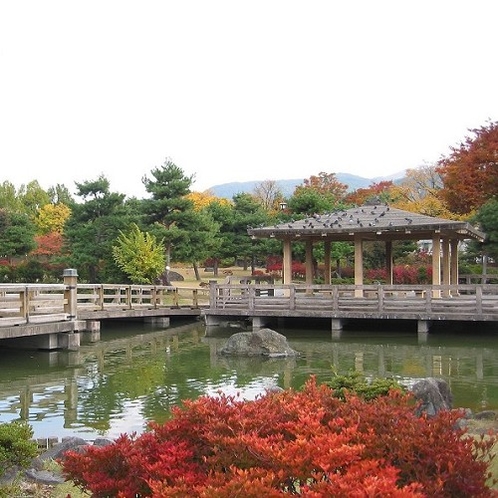 ◇あがたの森公園＜アクセス：車で約１３分＞紅葉の様子