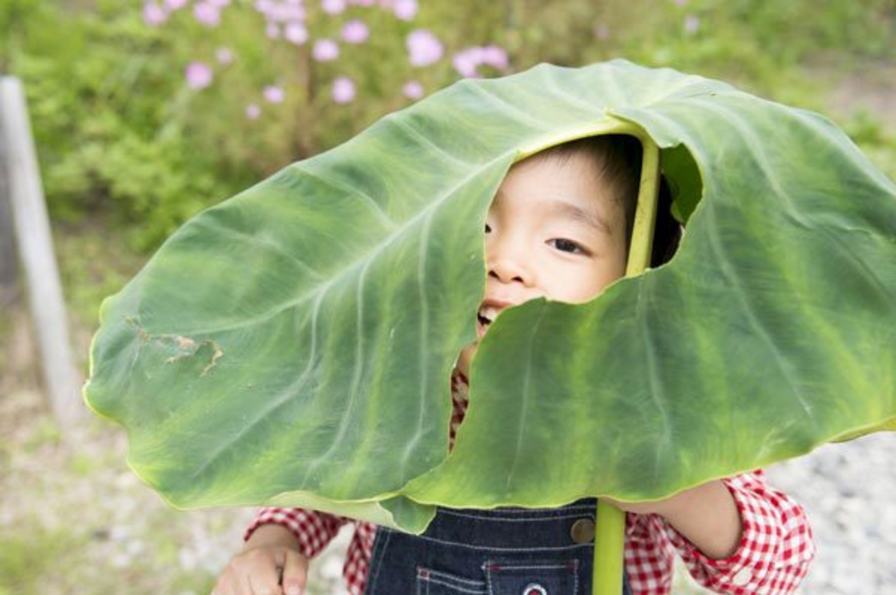 昭和の森 山荘