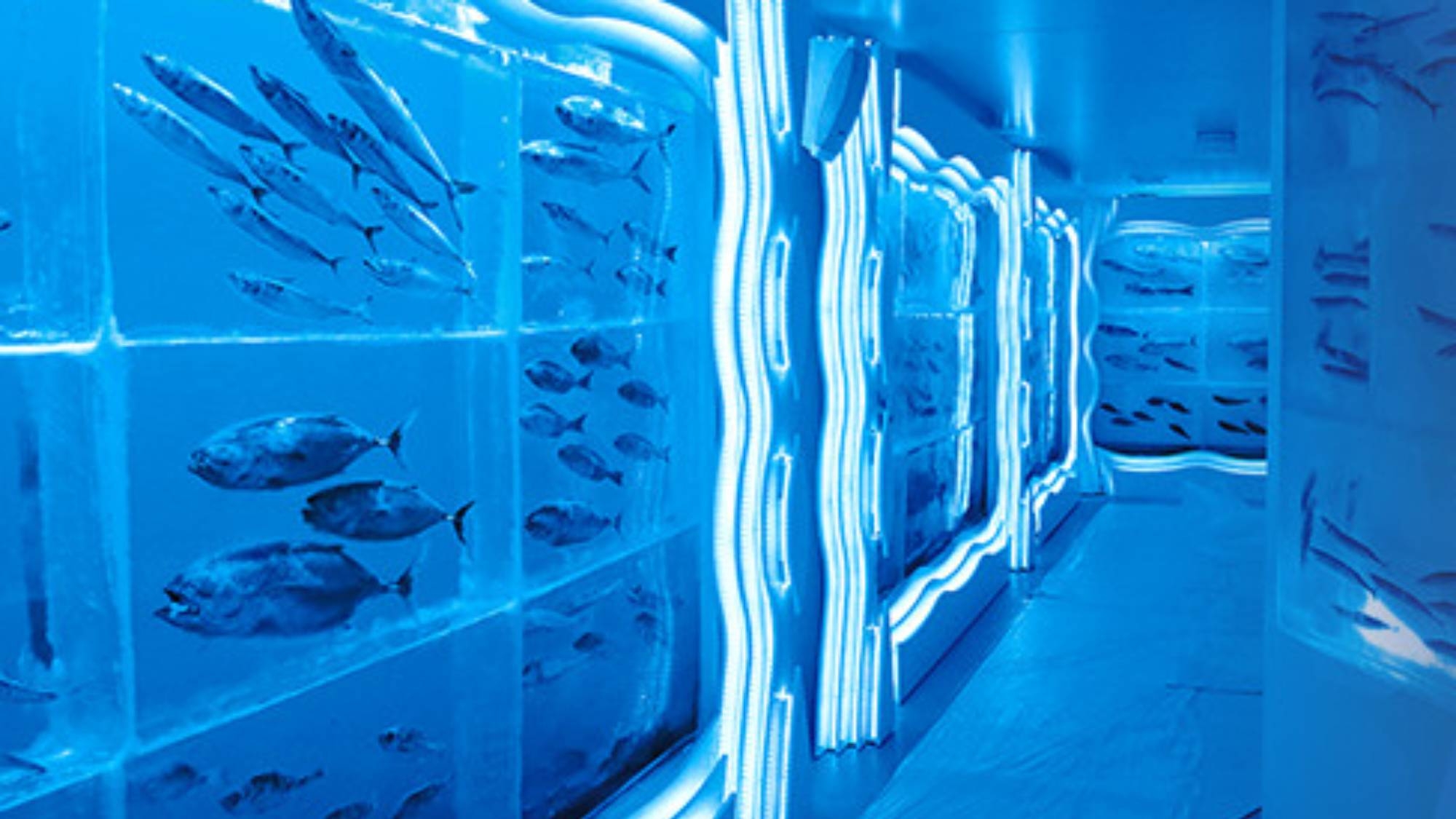 体験プラン！★氷の水族館＋シャークミュージアムチケット付★ご夕食は気仙沼の海鮮会席（夕食・朝食付）